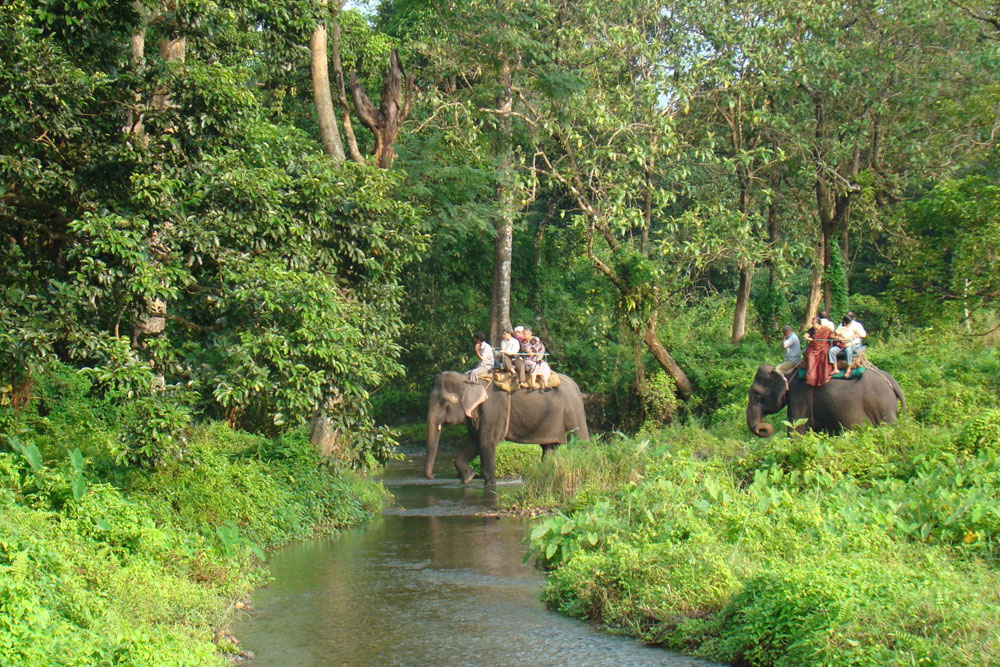 travel agency in dooars